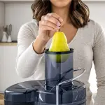 EXTRACTOR DE JUGO OSTER DE 2 VELOCIDADES FPSTJE320S